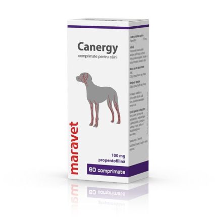 Canergy 100 mg 6 x10 tab